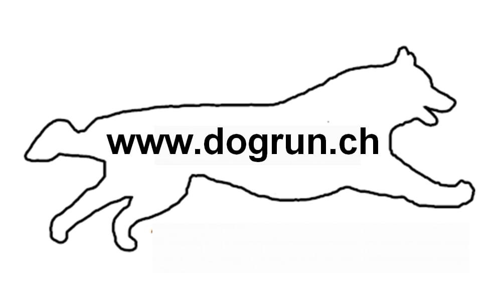 dogrun.ch